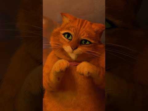 ✋ ALERTA: Gato de Botas muito fofinho