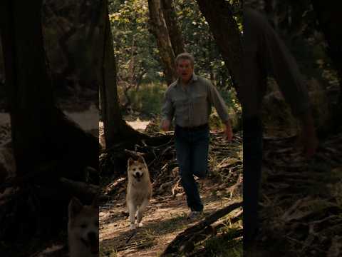 Esse foi meu primeiro trauma cinematográfico!