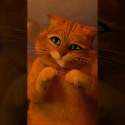 ✋ ALERTA: Gato de Botas muito fofinho