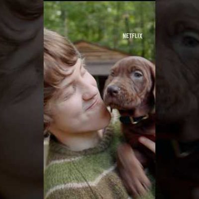 Scooby-Doo é revelado #netflix